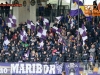 Soccer/Football, Maribor, First Division, (NK Maribor - NK Koper), Viole, 24-Apr-2016, (Photo by: Drago Wernig / Ekipa)