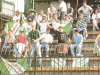 GorenjskiOrli1.jpg