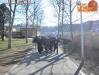 GoricaOlimpija_TB_201011_01