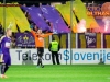 Jasmin Handanovic #33 of Maribor during football match between NK Maribor and ND Gorica in Final of Slovenian Cup 2014 on May 21, 2014 in Stadium Bonifika, Koper, Slovenia. Photo by Vid Ponikvar / Sportida