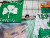 MariborPanathinaikos_201213_07.jpg