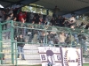 MuraCelje_BG_200910_08.jpg