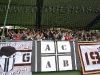 MuraKrsko_BlackGringos_200809_08.jpg