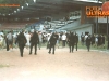 MuraMaribor_BG_200203_23.jpg
