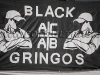 MuraMaribor_pokal_06_200809_BlackGringos.jpg