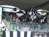 MuraMaribor_pokal_21_200809_BlackGringos.jpg