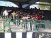 MuraMaribor_pokal_40_200809_BlackGringos.jpg