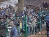 MuraNafta_200809_Gorgone_14.jpg