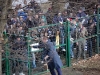MuraNafta_200809_Gorgone_15.jpg