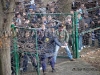 MuraNafta_200809_Gorgone_18.jpg