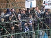 MuraNafta_200809_Gorgone_51.jpg