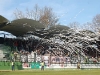 MuraOlimpija_BlackGringos_200809_18.jpg