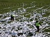MuraOlimpija_BlackGringos_200809_21a.jpg