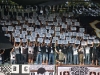 MuraPrimorje_BG_200910_05.jpg
