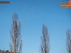 NaftaAnkaranHrvatini_GL_30-3-2019_04