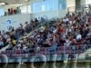 NaftaCelje_Gorgone_200910_04.jpg