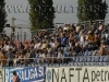 NaftaDrava_200910_Gorgone_13.jpg