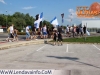 naftakobilje_gl_201213_02