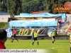 naftakobilje_gl_201213_03