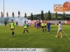 naftakobilje_gl_201213_17