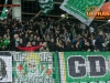 Green Dragons, fans of Olimpija during football match between NK Olimpija Ljubljana and NK Domzale in 21st Round of Prva liga Telekom Slovenije 2015/16, on December 6, 2015 in SRC Stozice, Ljubljana, Slovenia. Photo by Vid Ponikvar / Sportida