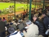 OlimpijaLiverpool_200304_02.jpg