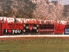 RedDevils1.jpg