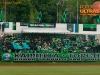 TZP_3255