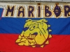 SlovenijaCeska_2009_61.jpg
