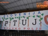 SlovenijaSIrska_SKV2010_36.jpg