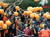KoperMaribor_TKP_199192.jpg