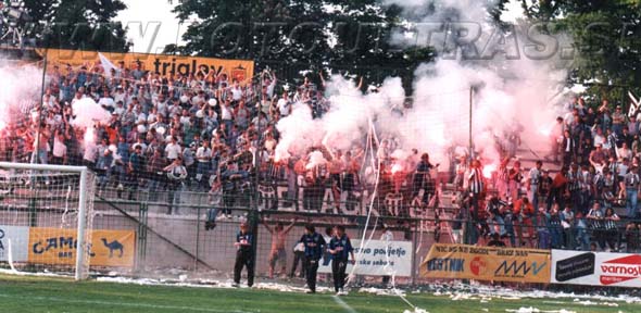 Skupina je doživela vrhunec že leta 1995 na finalni pokalni tekmi proti celjskemu Publikumu, ko se je na severni tribuni zbralo kar blizu 400 Gringosov.