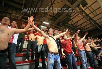 Red Tigers so edina ultra usmerjena skupina v dvoranah v Sloveniji.